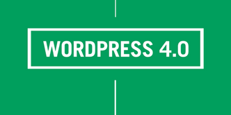 wordpress4_indanett